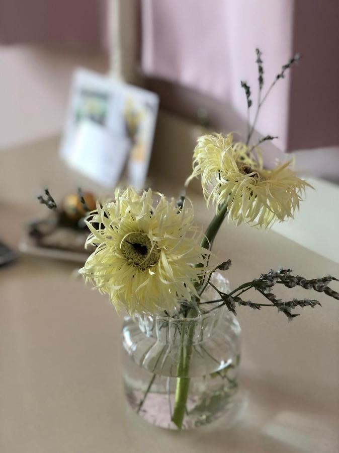 卡布-花藝小民宿 Taitung Floral B&B Exterior foto